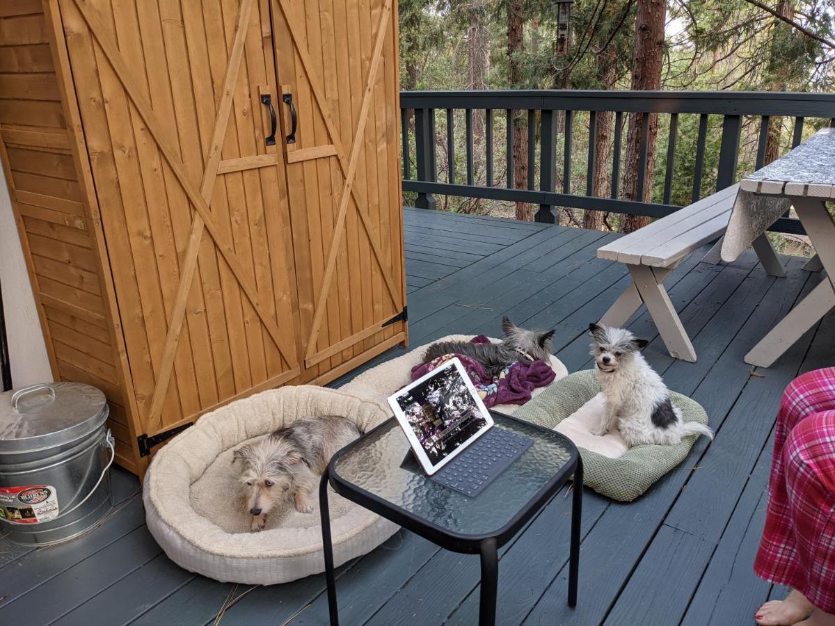 Breckenridge Chalet Near Yosemite. Dog Friendly! Groveland Extérieur photo